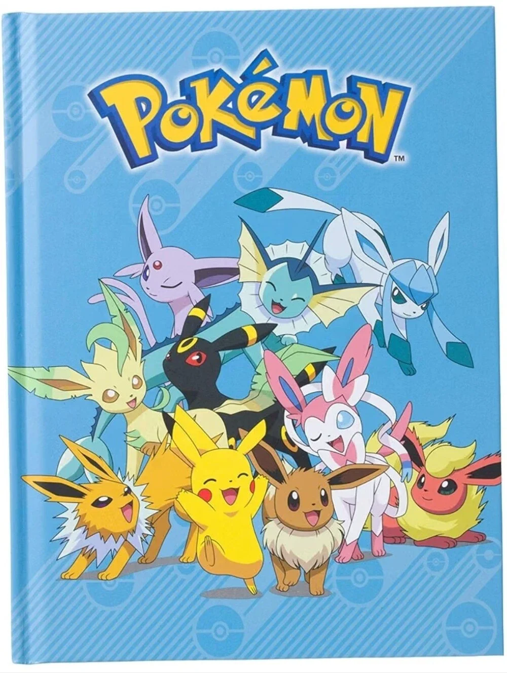 Pokemon Eeveelutions & Pikachu Hard Cover Notebook Silver Buffalo